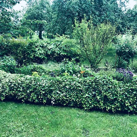 Daire Naehe Bodensee