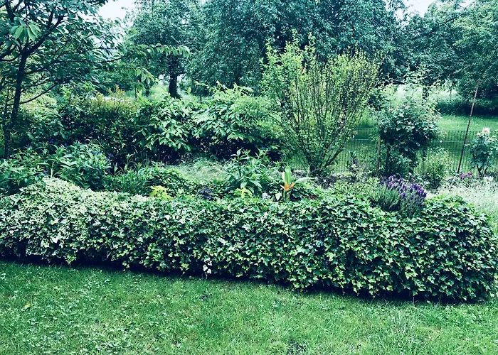 Apartament Naehe Bodensee